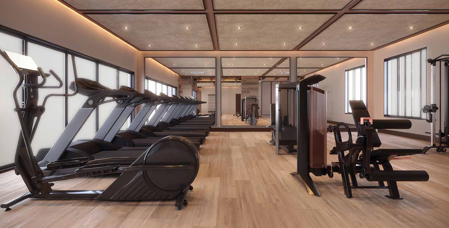 Perspectiva ilustrada, Fitness