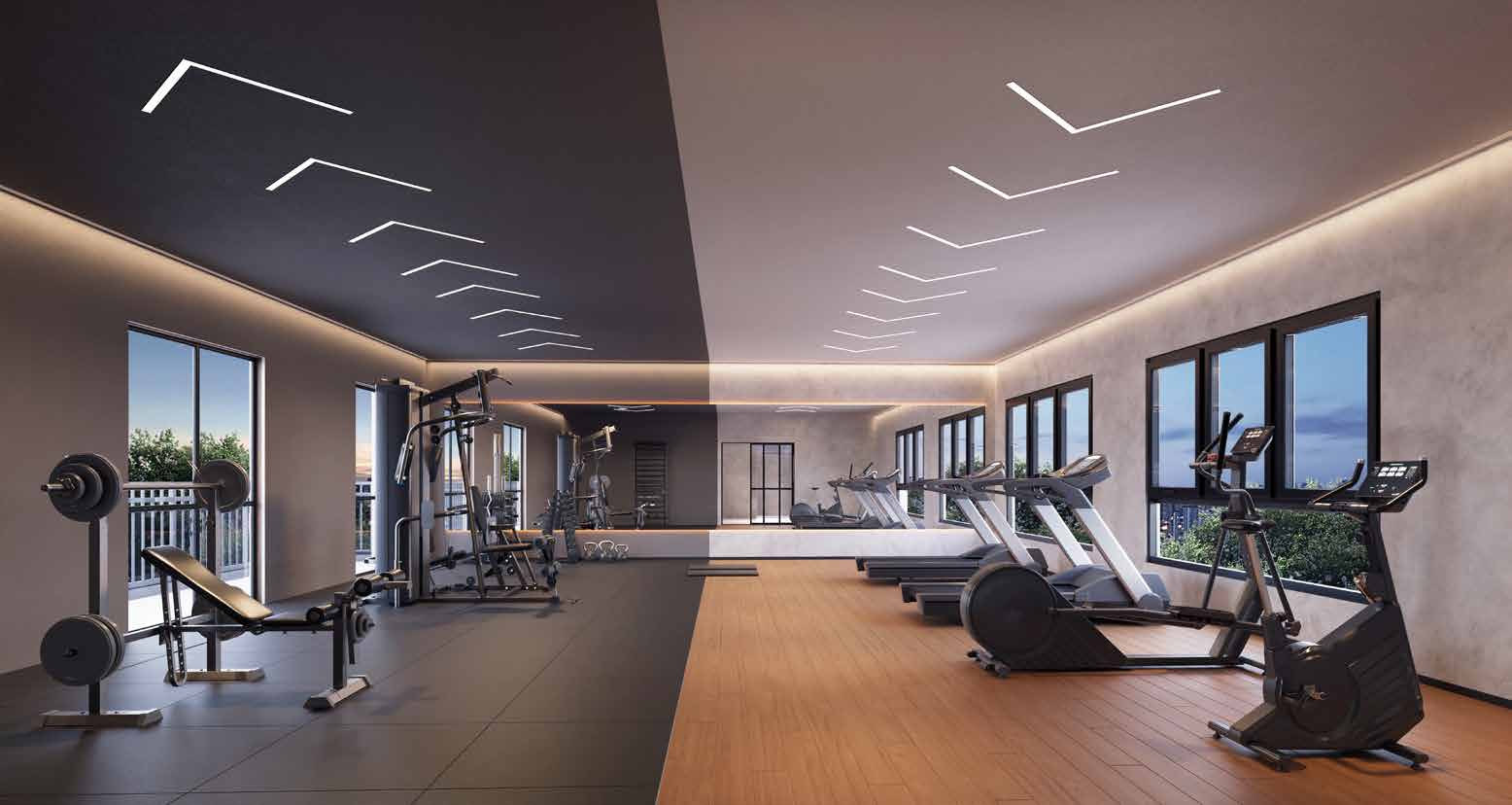 Perspectiva ilustrada do fitness